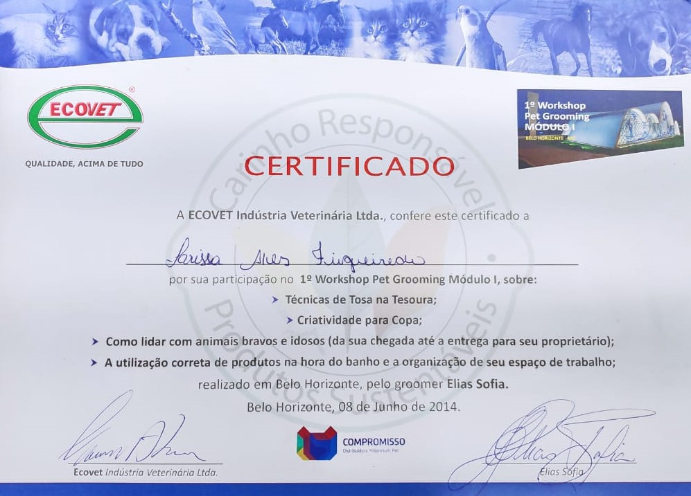 Curso